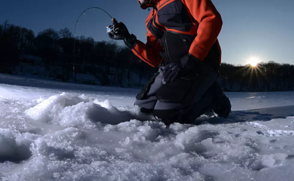 2020 International Eelpout Festival Canceled