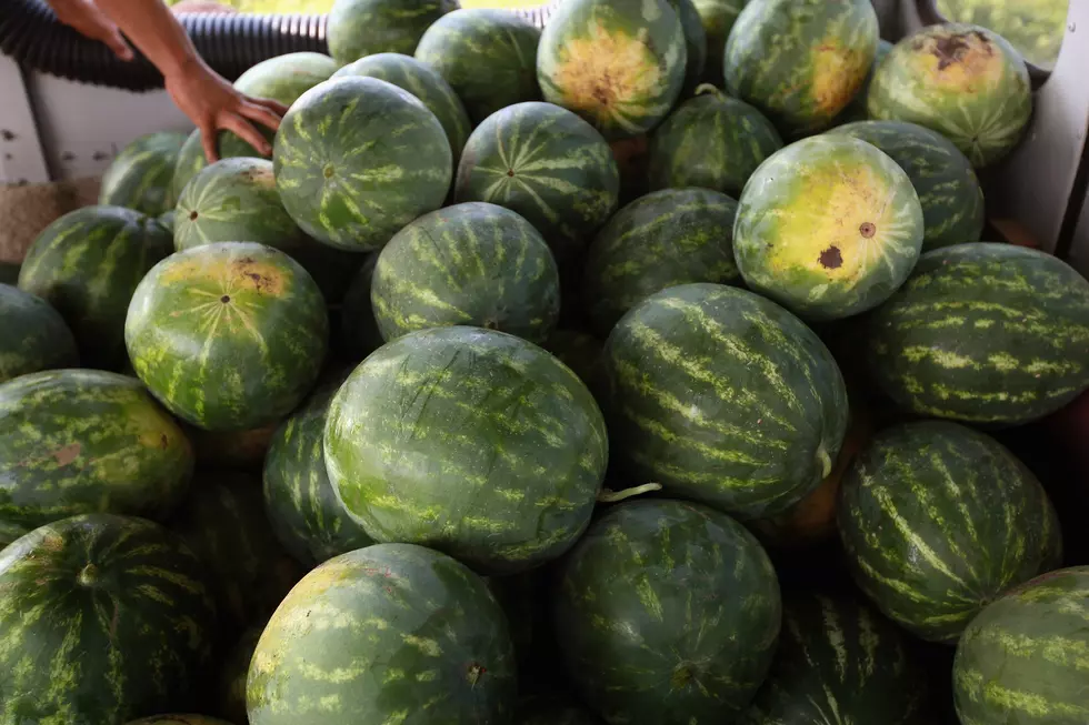 Four Things to Look For When Picking a Watermelon