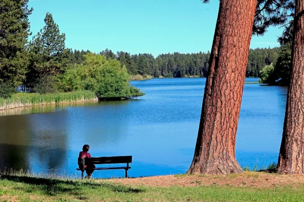 How Many Minnesotans Prefer To Be &#8220;Alone&#8221; Most Of The Time?