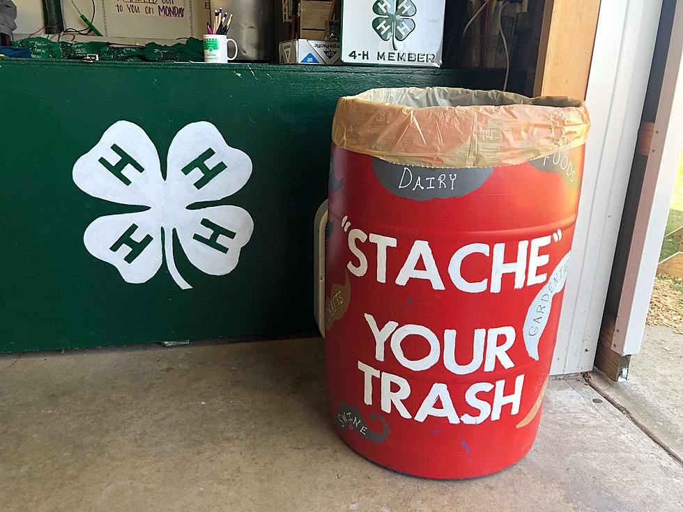 The Coolest Garbage Cans at the Benton County Fair [PHOTOS]