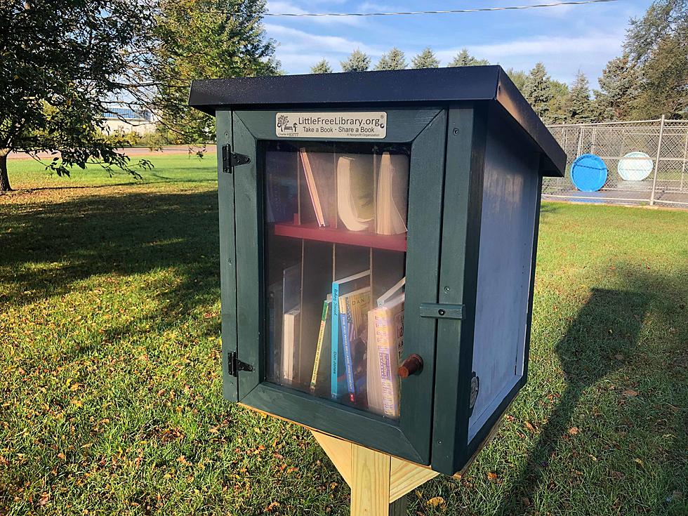 Sartell Neighborhood Using Little Free Library For Emergency Supplies