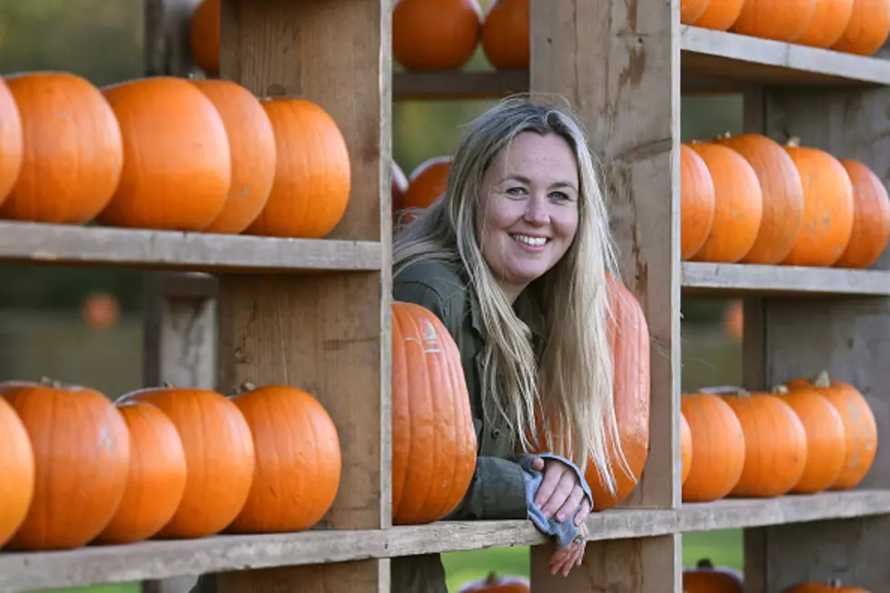 Looking for the Best Pumpkins in the St. Cloud Area