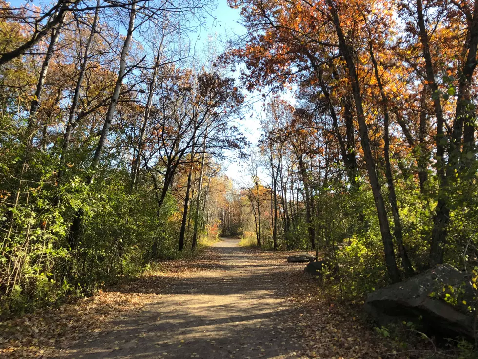 Fall Colors Guide for the First Weekend in November [Map]