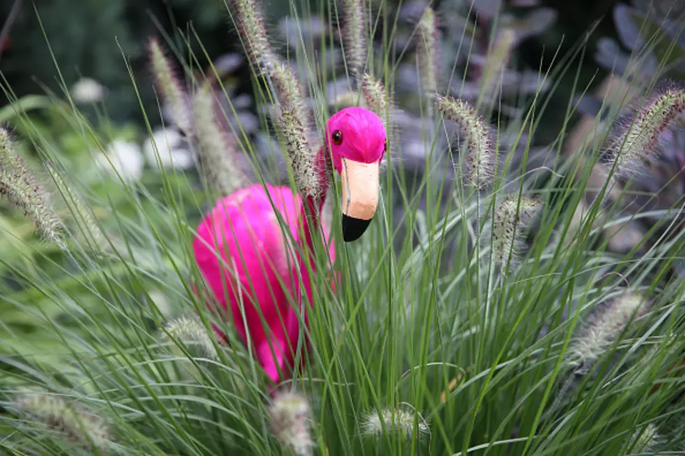 Have You Been &#8220;Flocked?&#8221; You Could Be Next