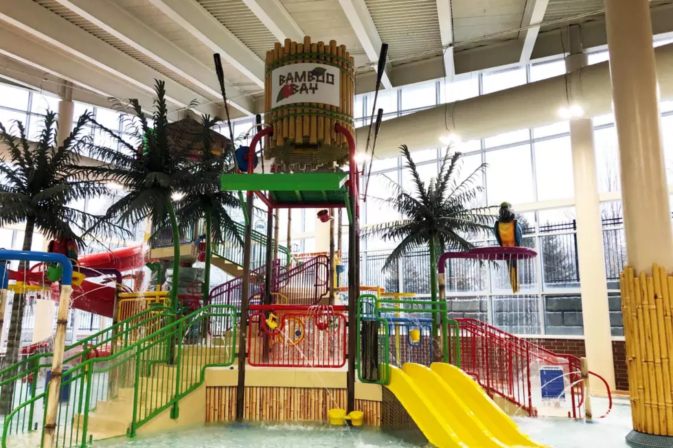 Tropical Adventure Indoor Playground and Waterpark Just 1 Hour From St. Cloud