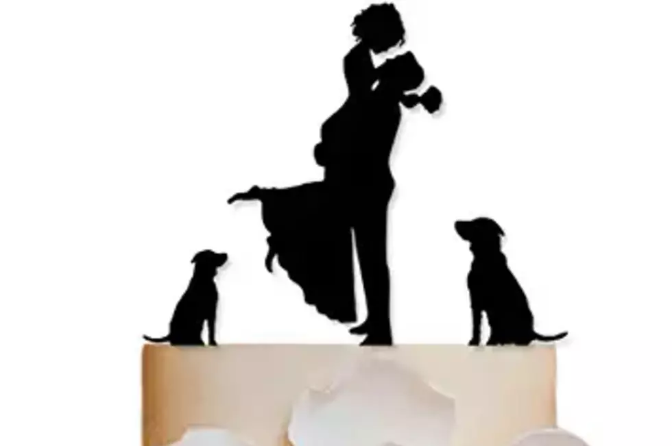 Wedding Cake Toppers That Include Your Pets