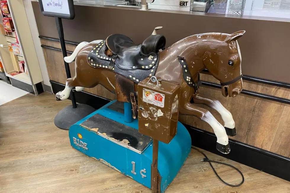Coborn&#8217;s Original Kids Ride Horse, &#8216;Sandy&#8217; on Display in Sauk Rapids