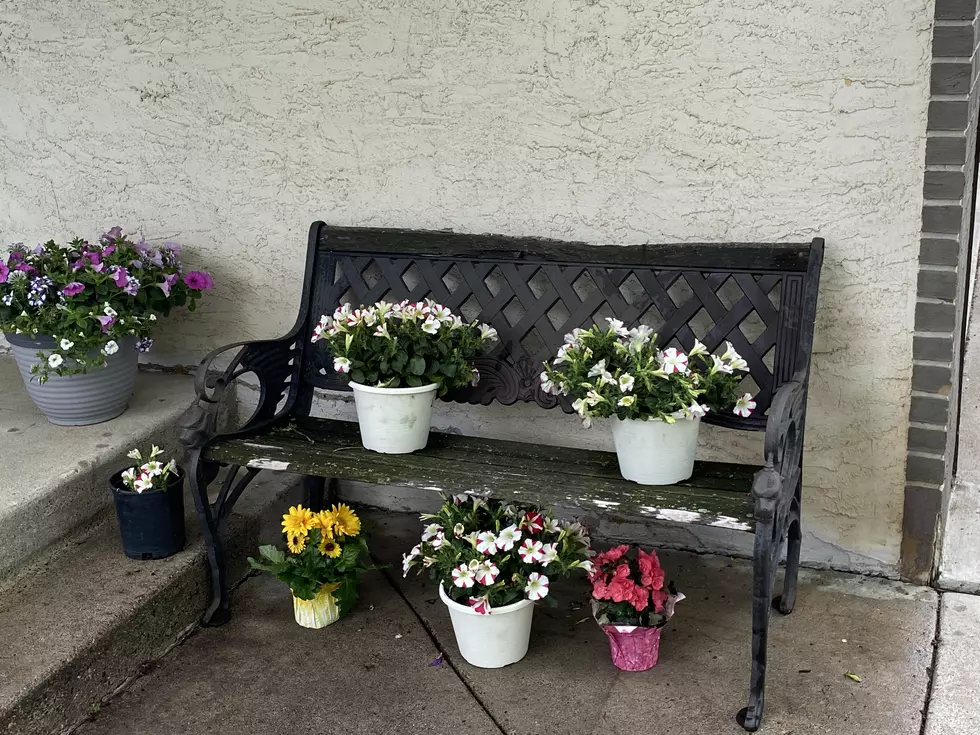 Trying To Create Outdoor Masterpieces: The Flower Bench
