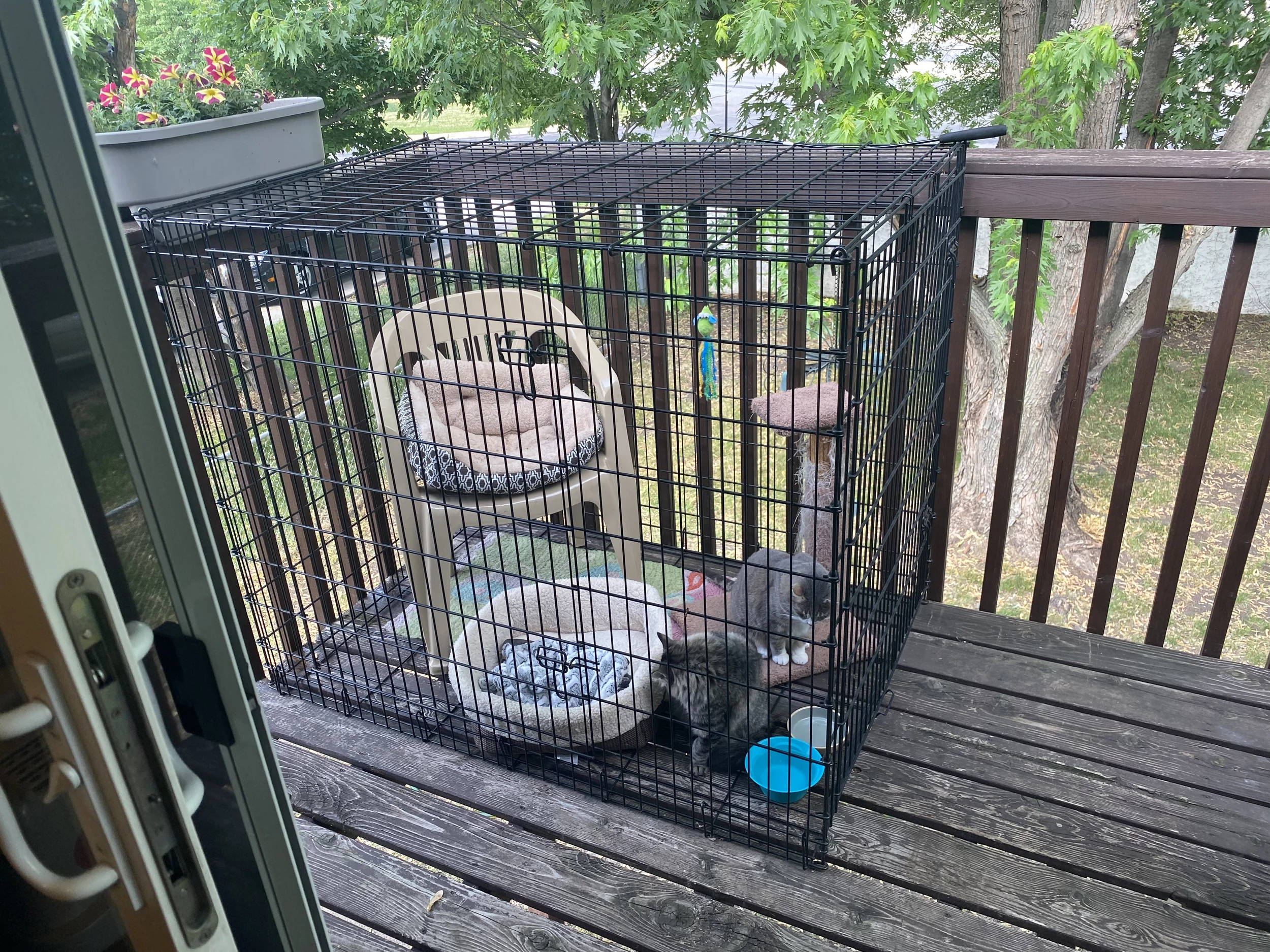 small catio