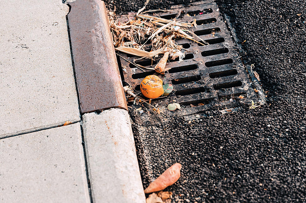 Adopt a St. Cloud Storm Drain on Earth Day