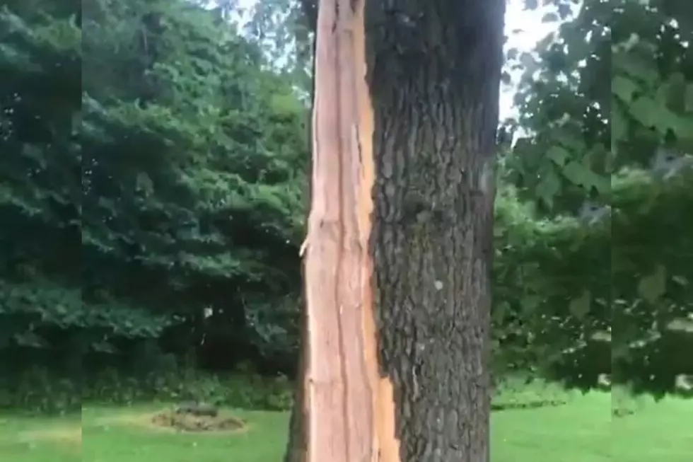 Lightning Strikes Tree On Sartell’s Blackberry Ridge Golf Course