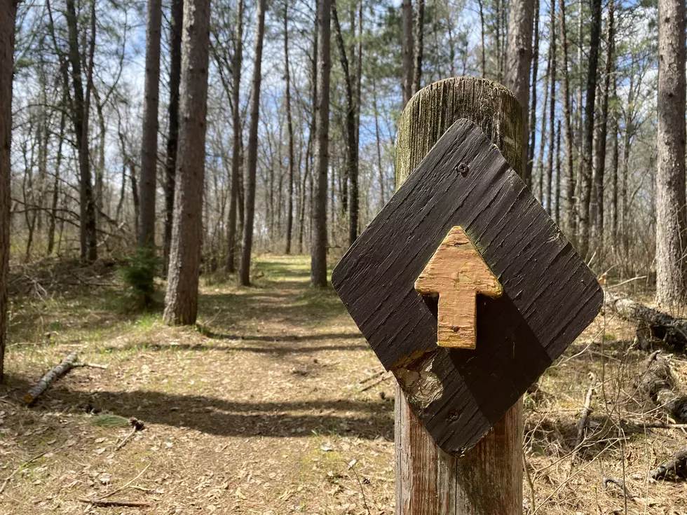 Minnesota State Parks Asking Guests to Only Leave “Footprints” Behind