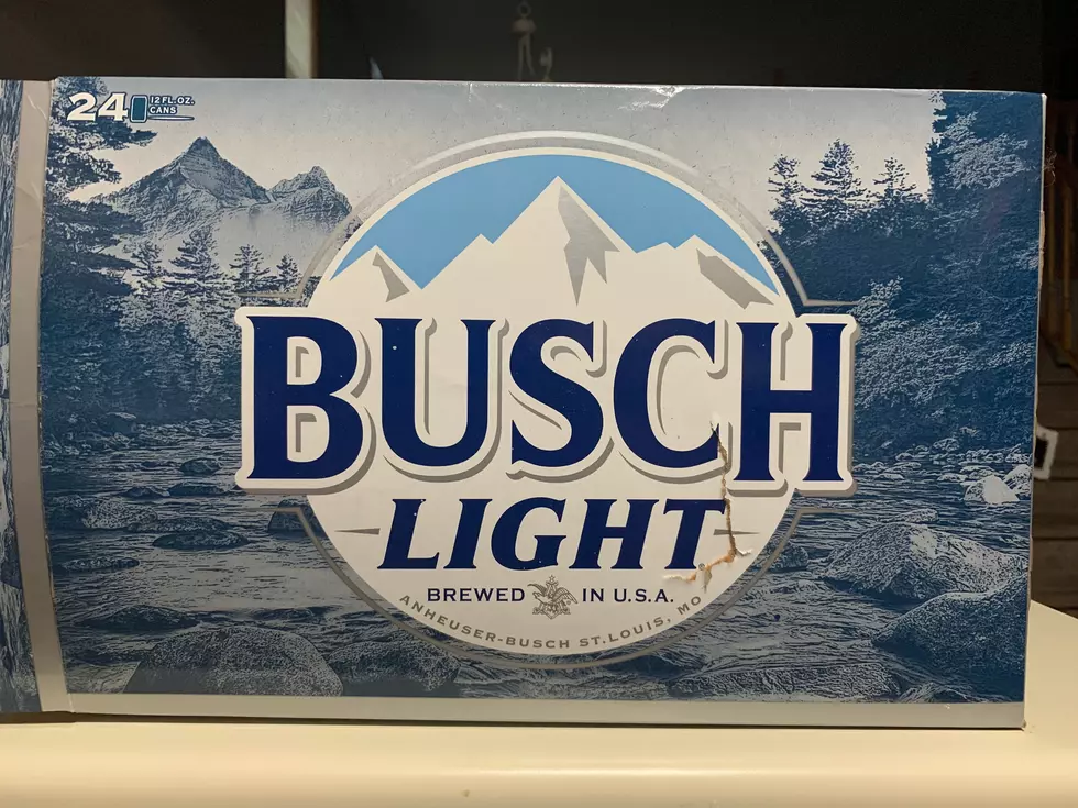 Man Spotted Drinking Busch Light in the Middle of Division Street