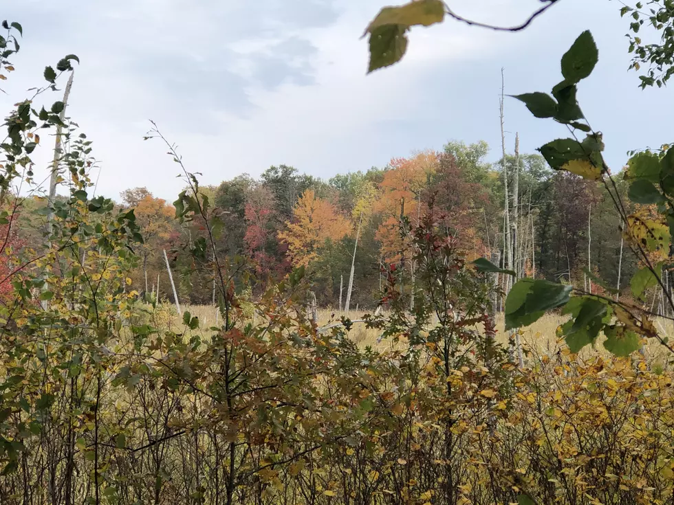 Weekend Hike at Mille Lacs Kathio State Park in Pictures