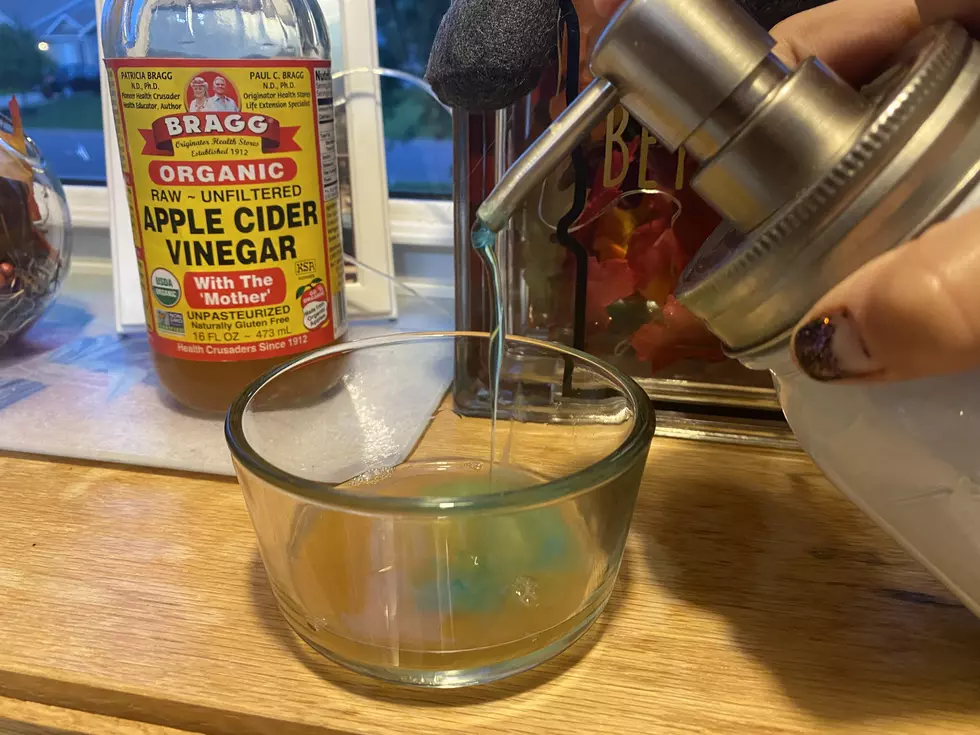 A Minnesota Mom’s Secret Trick to Get Rid of Fruit Flies