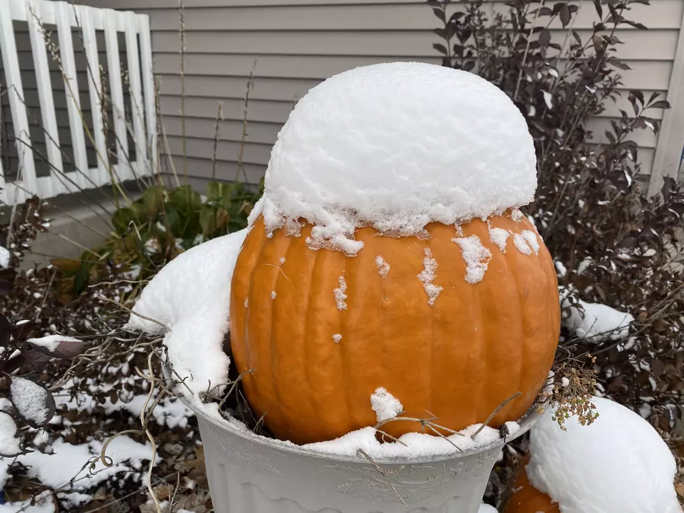 5 Ways It Feels More Like Christmas Than Halloween in St. Cloud