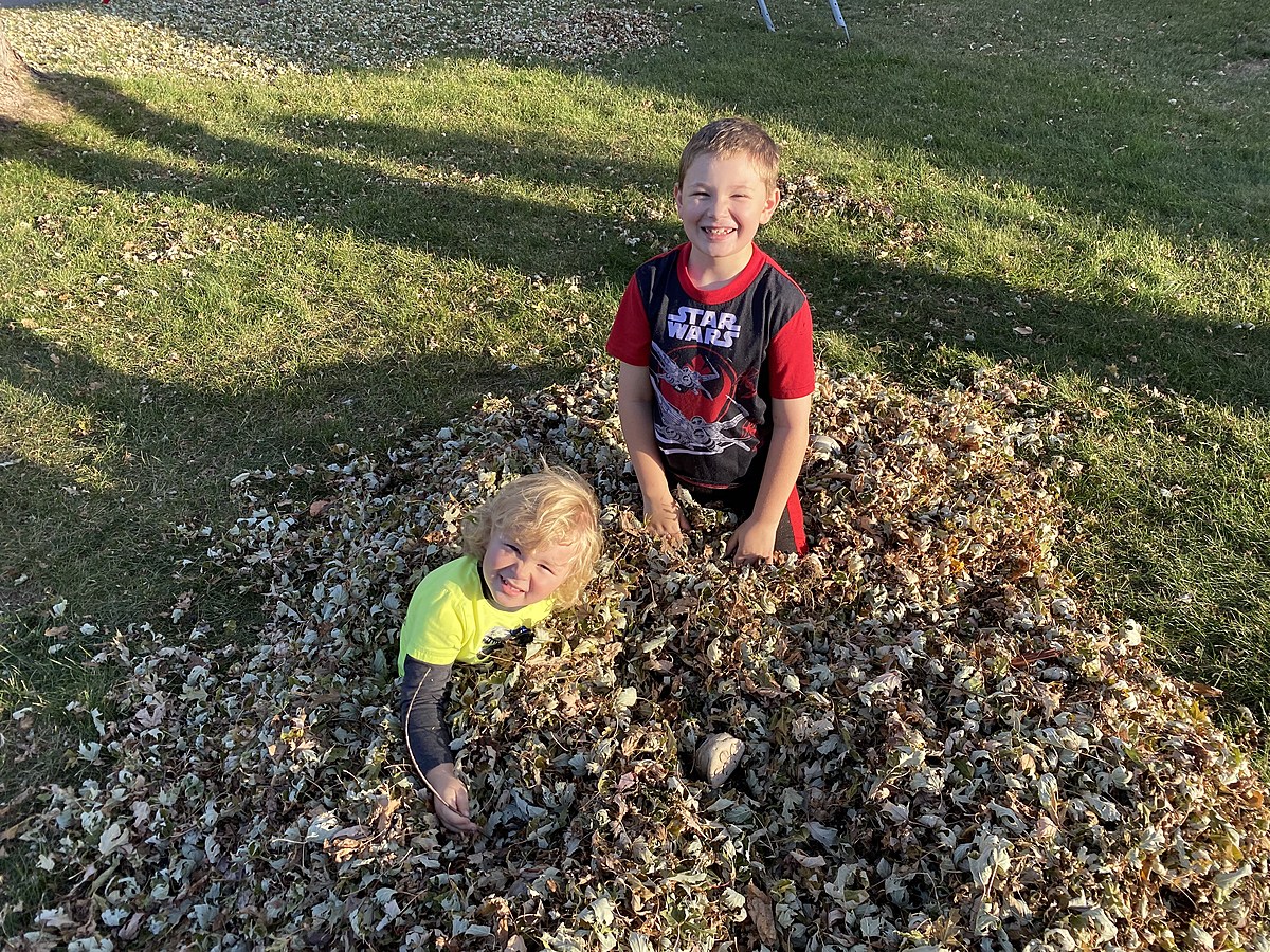 Wasting Time Raking in Minnesota? You Could Be Doing This Instead