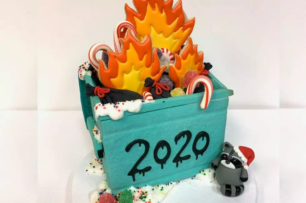 Minnesota Bakery Creates &#8216;Dumpster Fire&#8217; Cookie for 2020