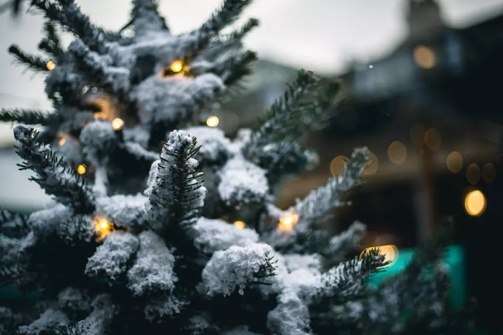 How to Choose the Right Christmas Tree for Your Family