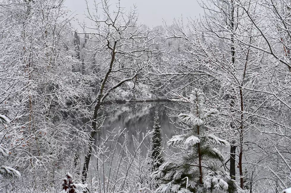 New Cabins in Northern Minnesota Available for Rent