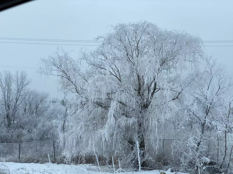 The St. Cloud Area Looks Like a Scene from ‘Frozen’ Today