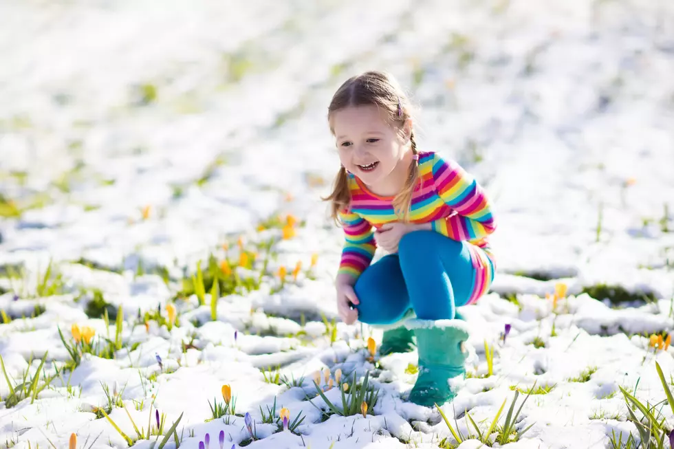 The Difference Between November Snow and March Snow in Minnesota