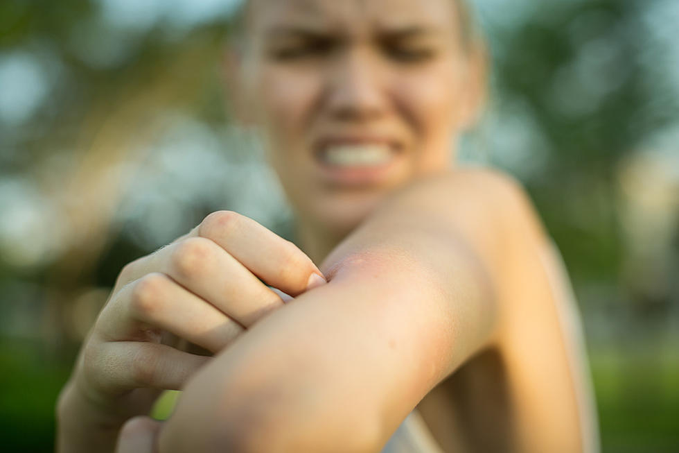 It’s Not in Your Head – Bumper Crop of Mosquitoes This Summer