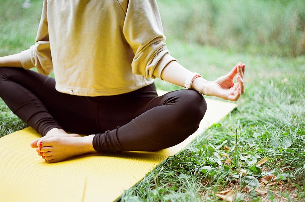 Forget Baby Goat Yoga! How About Doing Yoga With Minnesota Foxes?