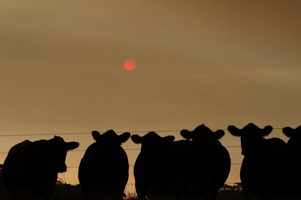 Air Quality Alert Issued for Most of Minnesota