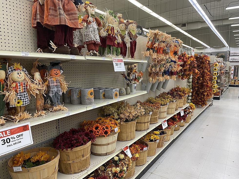 Fall Décor Already Appearing On Store Shelves in St. Cloud