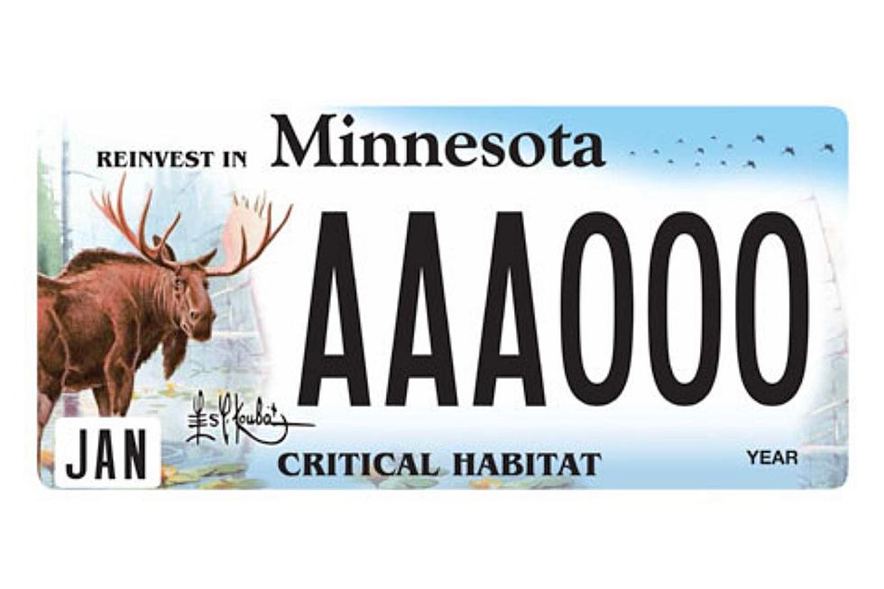 Minnesotan Pulls Off Approval for NSFW License Plate