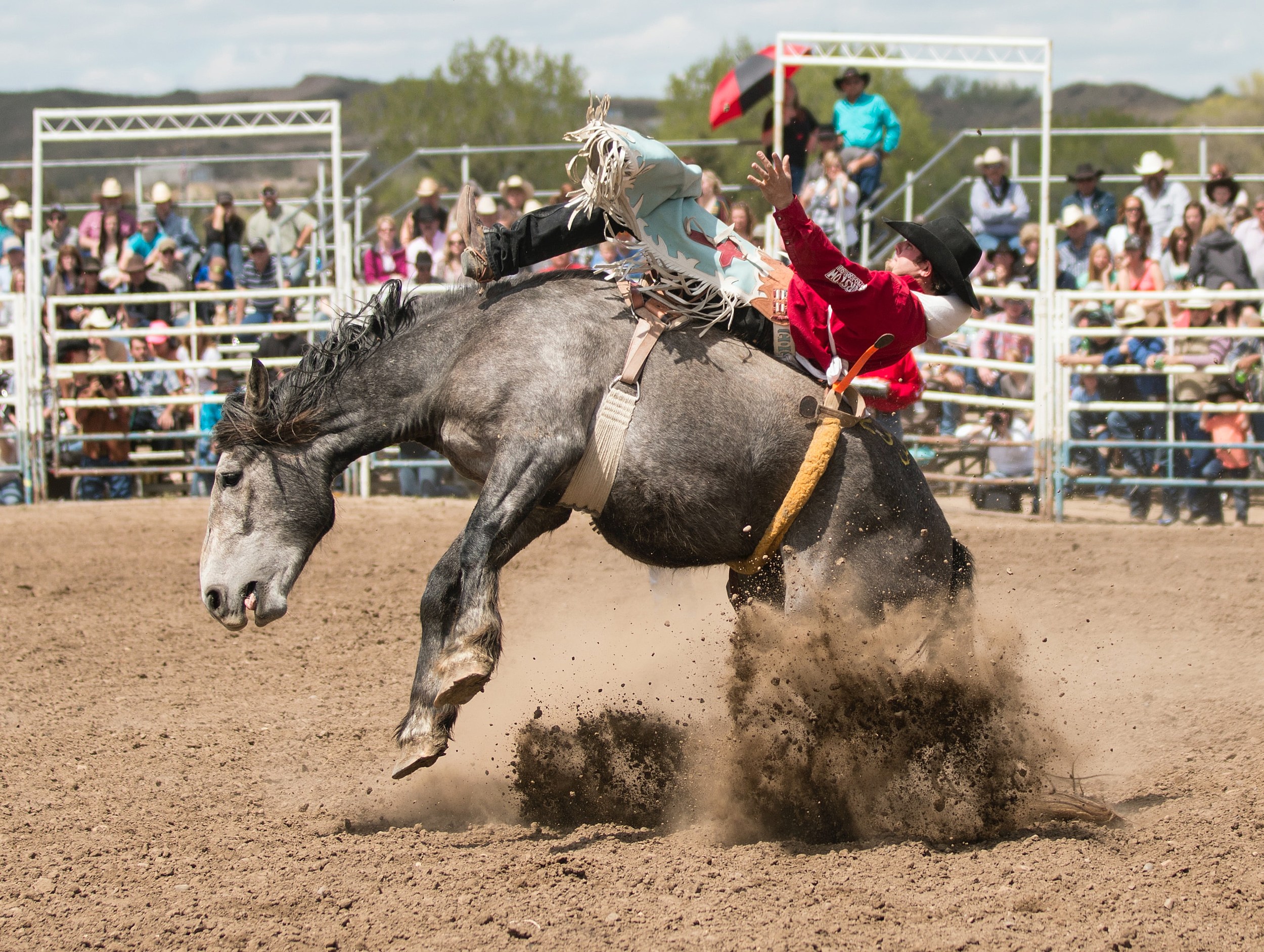 Clearwater's 35th Annual Rodeo Offers Fun For Cowboys and Cowgirls of