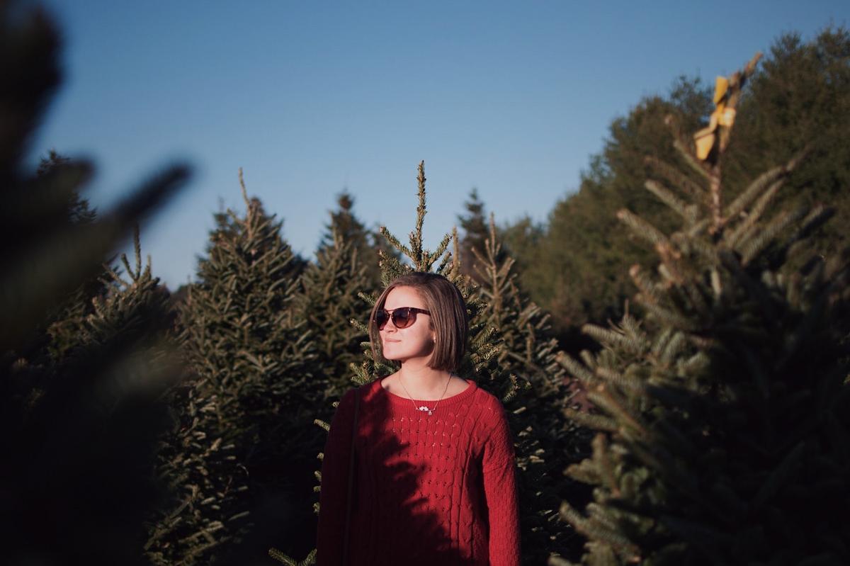 After two seasons of closure, the local tree nursery is reopening