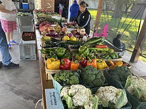 Love Fresh Produce? Your Guide to St. Cloud Area Farmers Markets