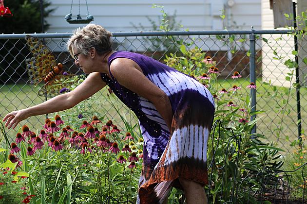 This Is Your Last Chance To Become A Master Gardener This Year -Deadline For Sign Up