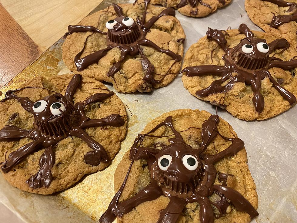 Celebrate The Season by Creating These Creepy Fun Adorable Spider Cookies
