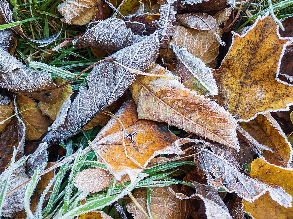 November Ending on a Frigid Note in Minnesota