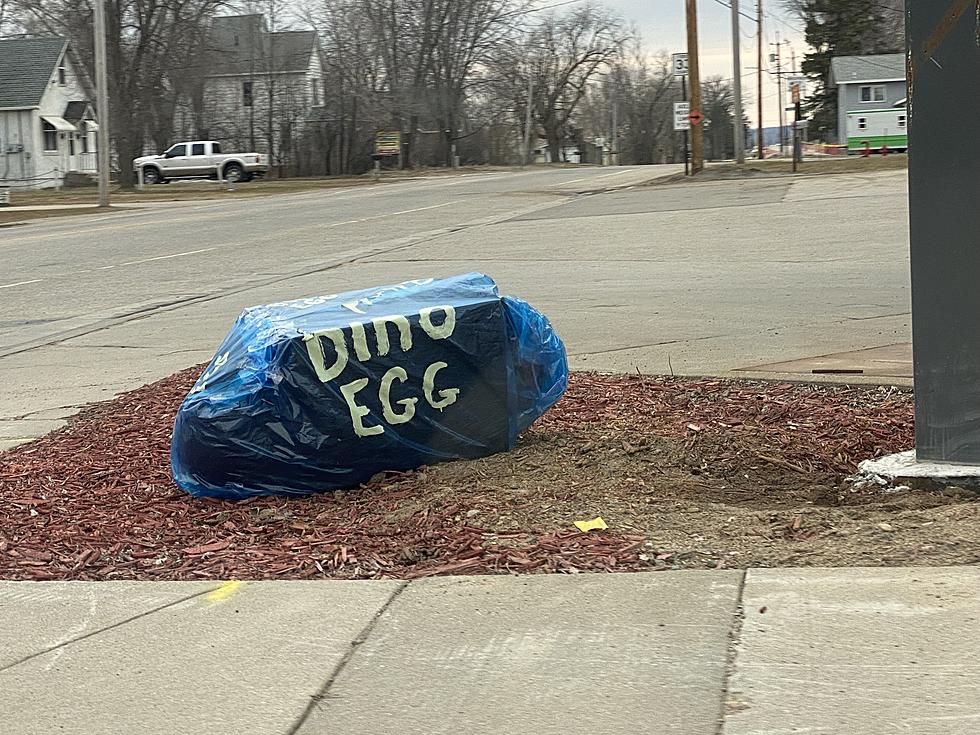 Grey Eagle is Finally Getting their Beloved Dinosaur Statue Back