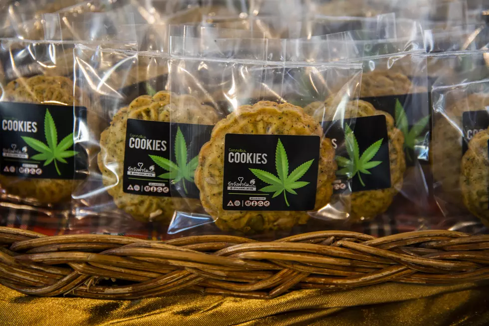Central Minnesotans Share Their Thoughts On The Legalization Of Edibles