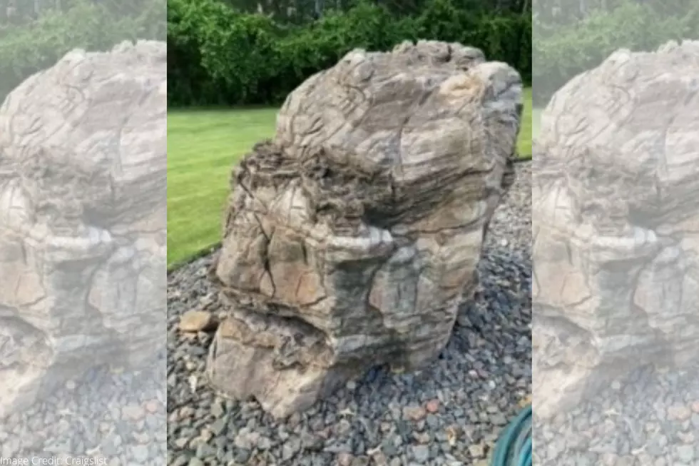 Would You Pay $10,000 For This Minnesota Rock?