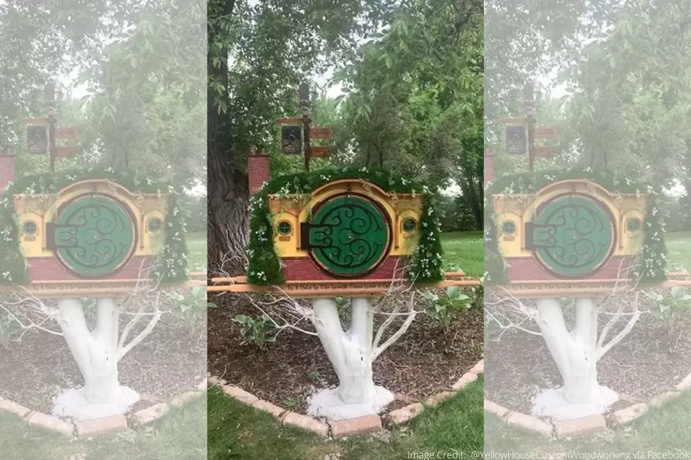 You&#8217;ve Got To See This Epic Free Little Library In Elk River!