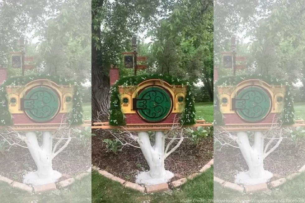 You’ve Got To See This Epic Free Little Library In Elk River!