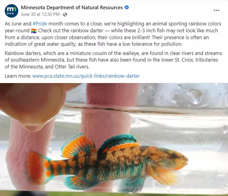 This Minnesota DNR Fish Post Got Political In A Hurry
