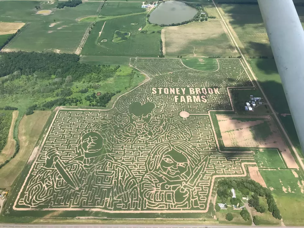 Minnesota's Largest Corn Maze Revealed! Opening In September