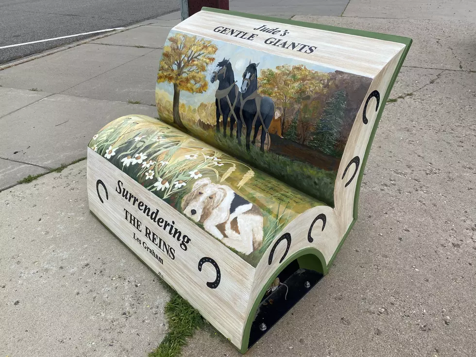 Sauk Centre Has the Coolest Benches Your Butt Will Ever Sit On