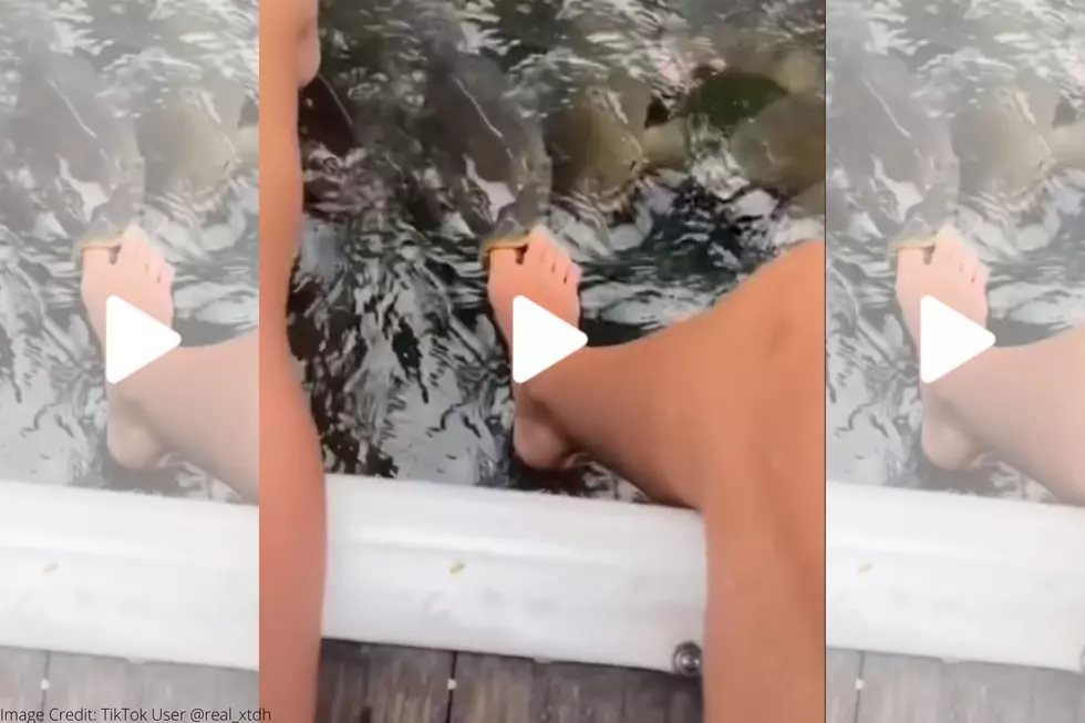 Would You Let A Fish &#8216;Suck&#8217; Peanut Butter Off Your Toes?
