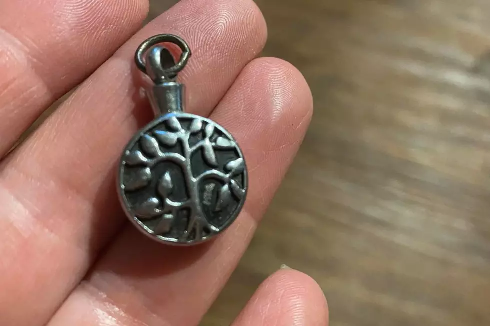Did You Lose This Pendant at WeFest?