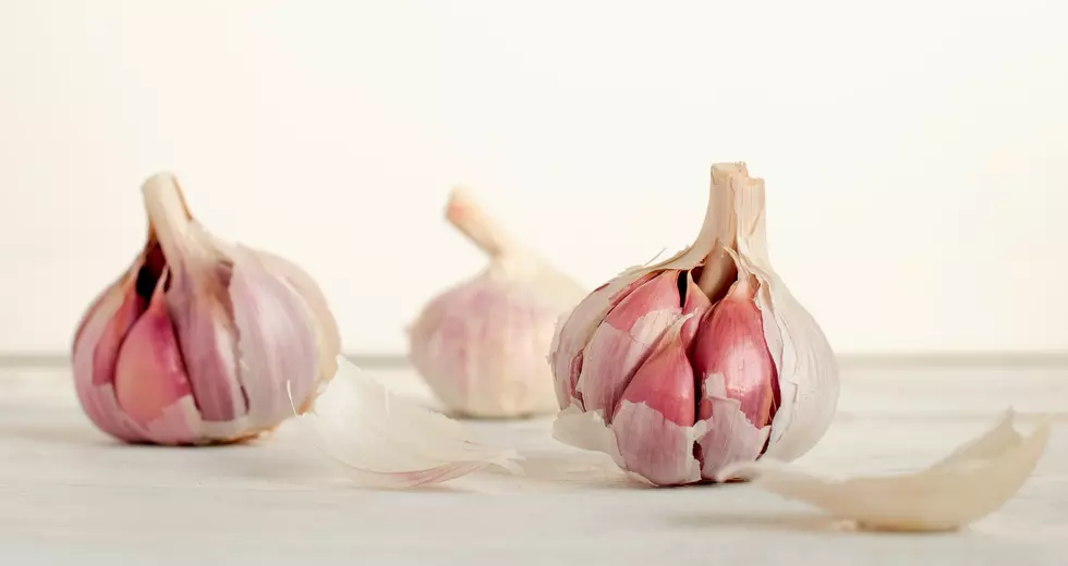 Love Garlic? Don’t Miss the MN Garlic Festival August 13th