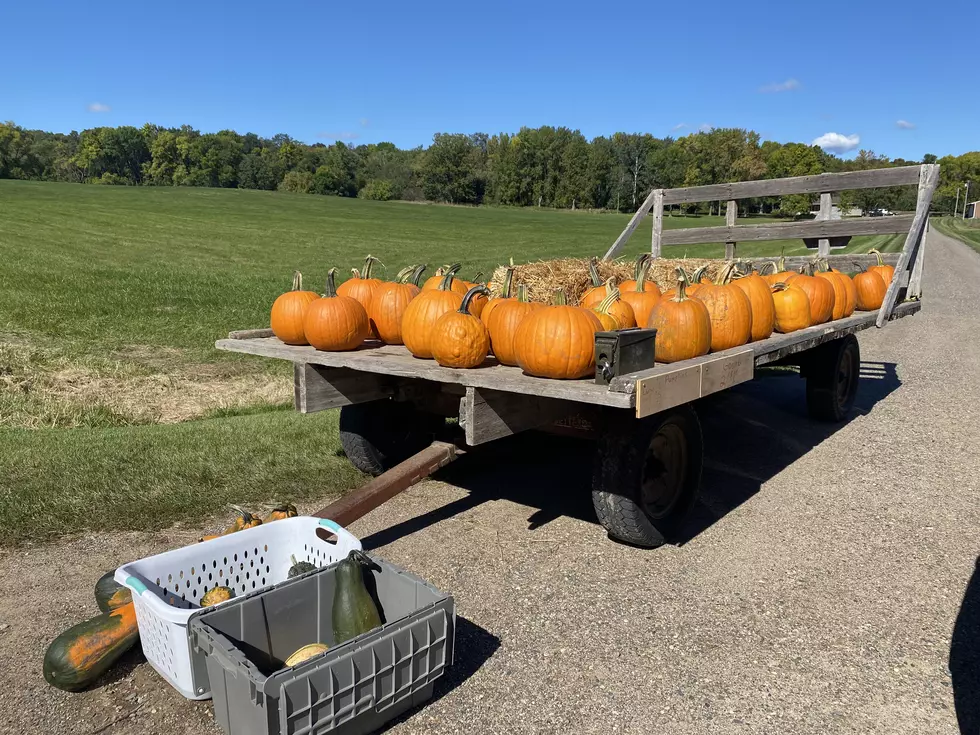 Roadside Pumpkin Wagons are the Best Part of Fall in Central MN