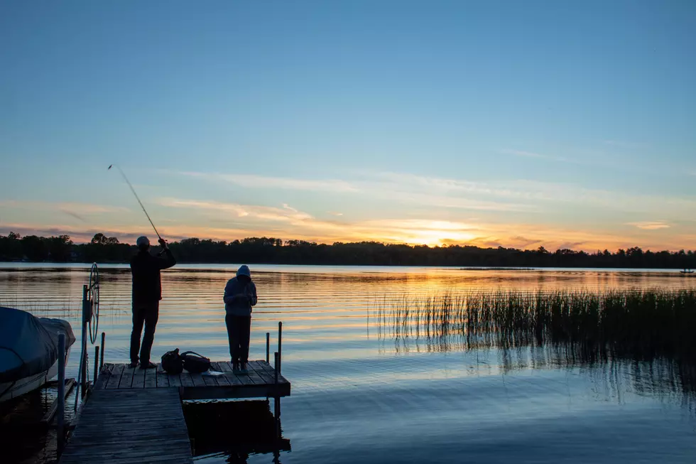 Just How Much Of Our Minnesota Lottery Funds Support MN Wildlife?